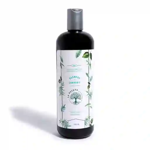 La Receta Shampoo Argan Y Cannabis Cabello Seco