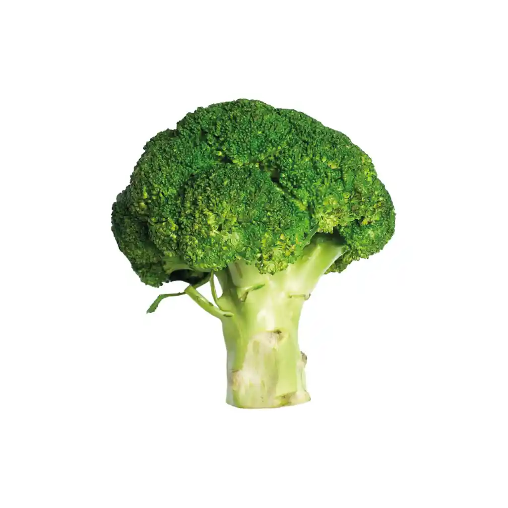 Brocoli 1 Lb O 453 Gr