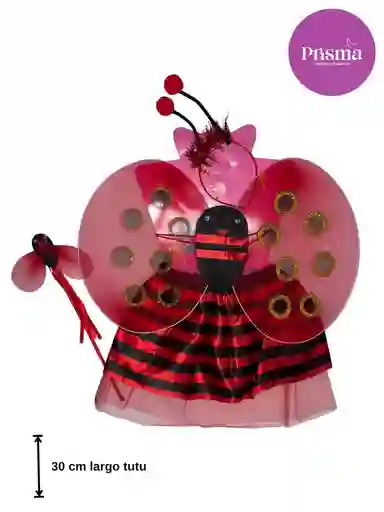 Disfraz Mariquita Niñas