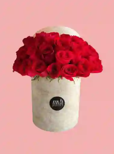 Susurro De Amor - Amor Y Amistad