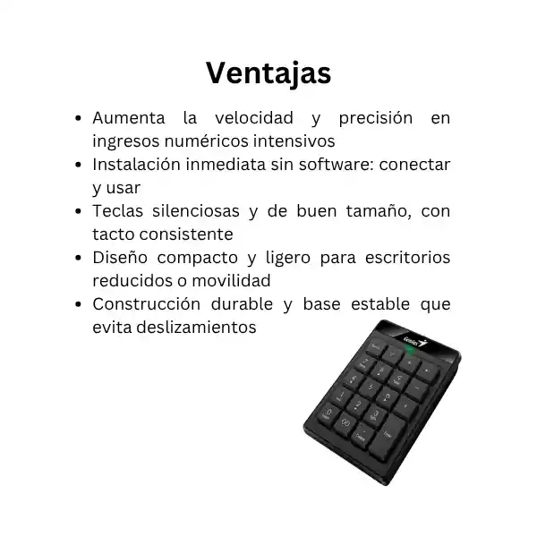 Teclado Numérico Genius Numpad 110 Usb Color Negro