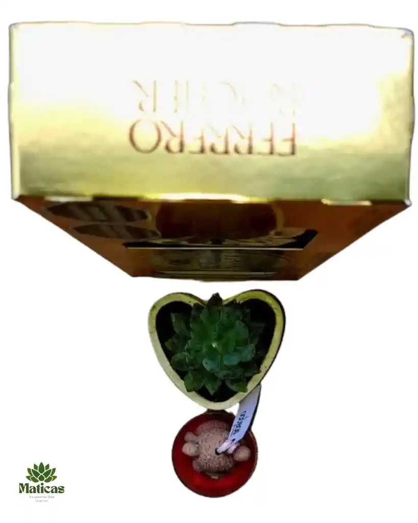 Detalle Dulce Y Tierno