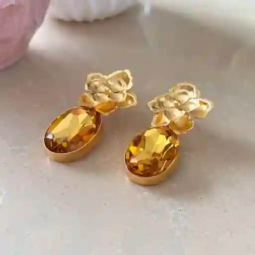 Aretes Corina