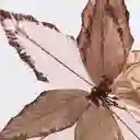 Flor Miro Christmas Poinsettia 30cm Cafe Tela