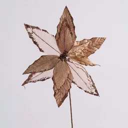 Flor Miro Christmas Poinsettia 30cm Cafe Tela