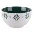 Bowl Tazon Expressions 13.5 Cm Verde Ceramica