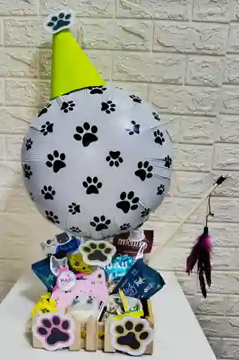Regalo Para Gato