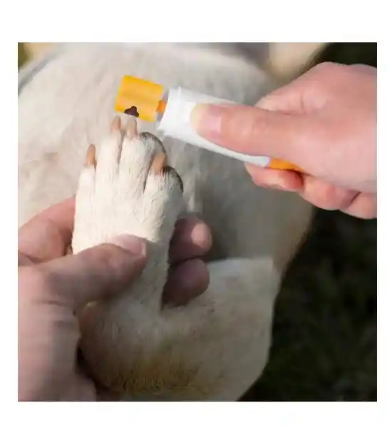 Lima Para Uñas Eléctrico Perros Gatos Mascotas