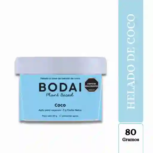 Helado Bodai Personal Coco