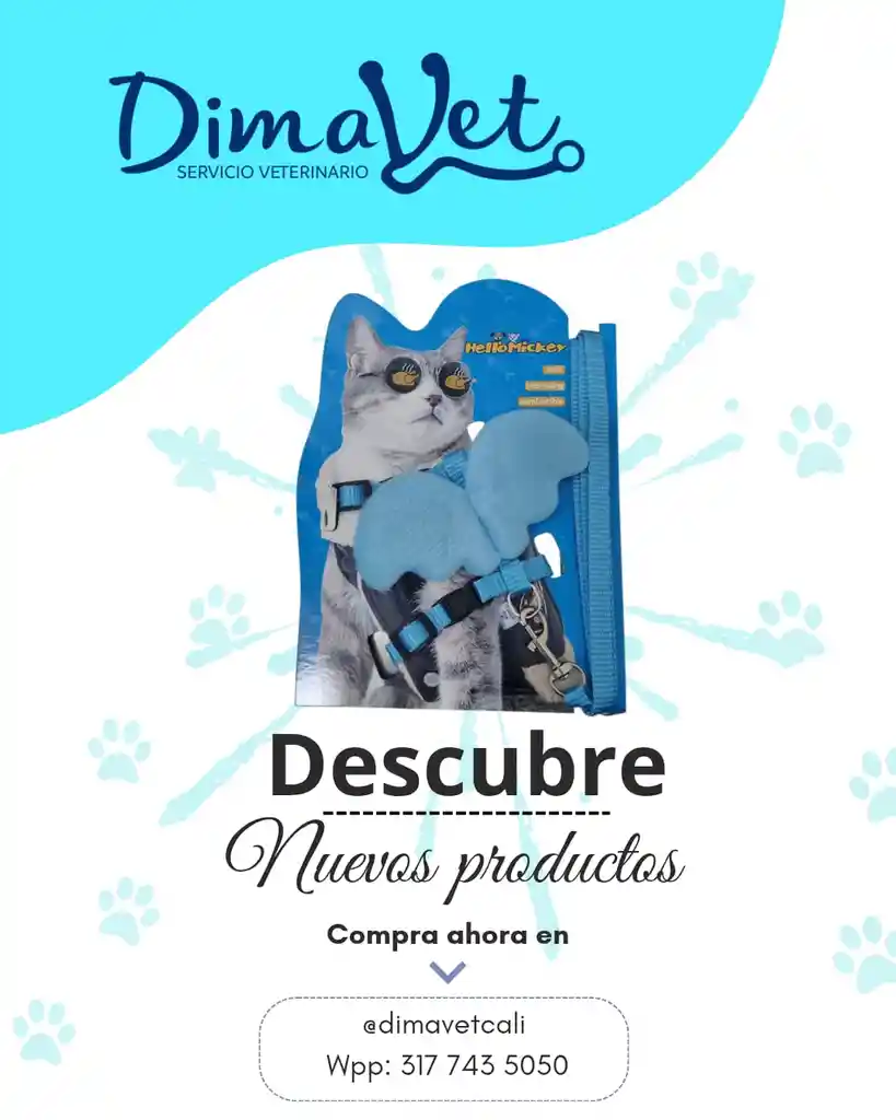 Trailla Gato Alas Azul