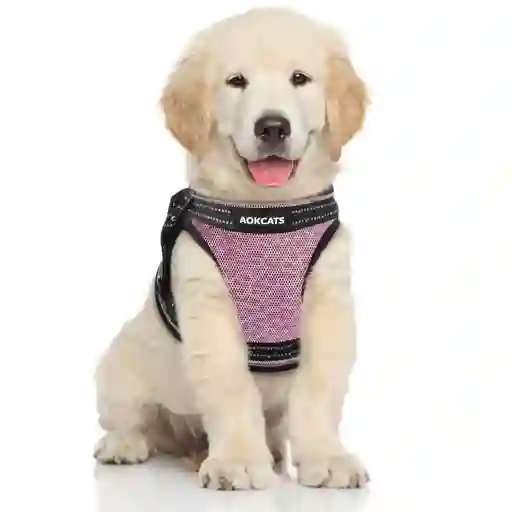 Pechera Aocats Talla S