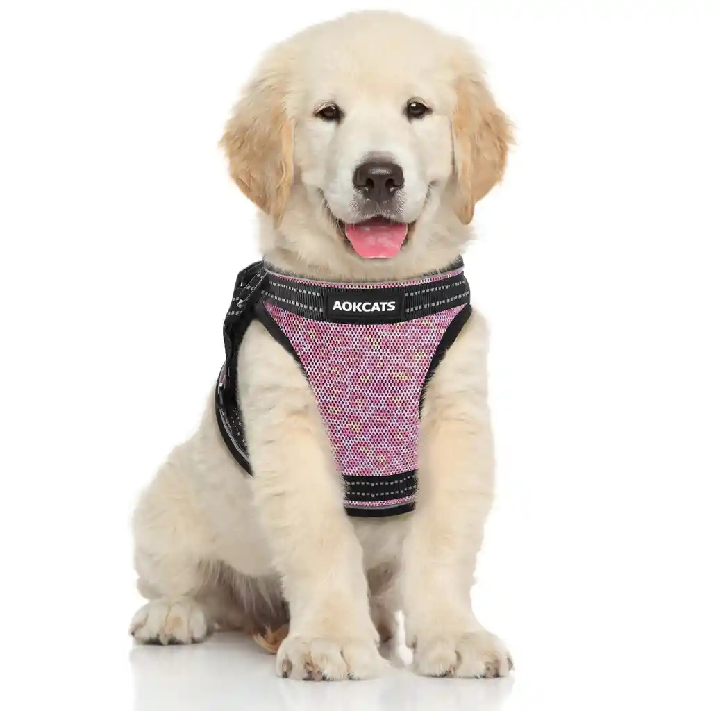 Pechera Aocats Talla S