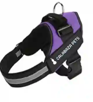 Arnes Antitirones Xxl Morado