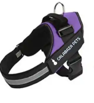 Arnes Antitirones Xxl Morado