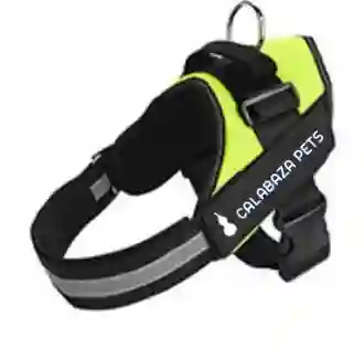 Arnes Antitirones Talla Xxl Verde