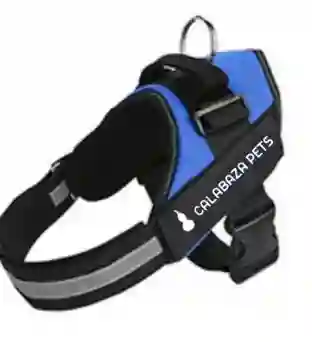 Arnes Antitirones Talla Xxl Azul