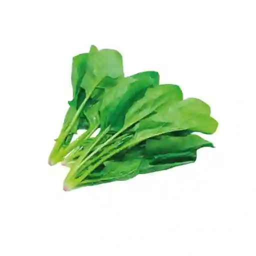 Espinaca 1lb O 453 Gr