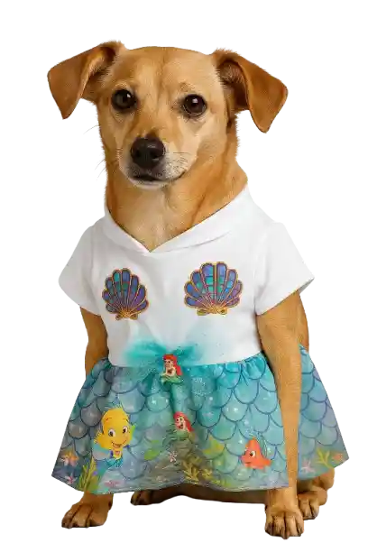 Disfraz De Sirenita Talla S