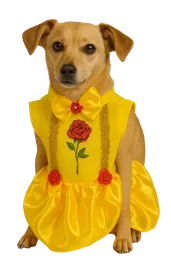 Disfraz De Bella Talla Xs