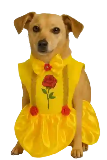 Disfraz De Bella Talla Xs