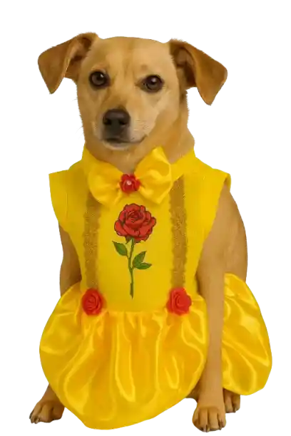 Disfraz De Bella Talla Xs