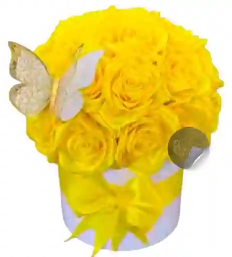 Arreglo Eterno