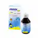 Muxol Flem Jarabe Para Niños (15 mg)