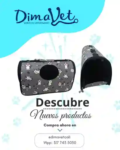 Bolso Diseño Basico Mediano