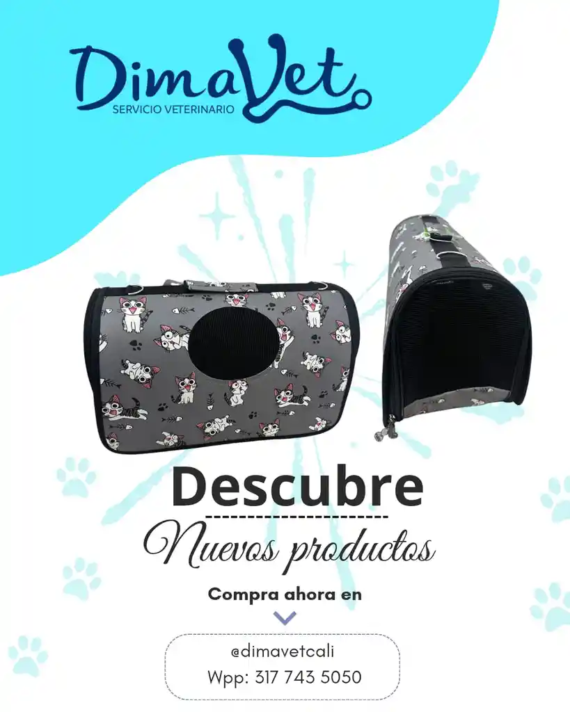 Bolso Diseño Basico Mediano