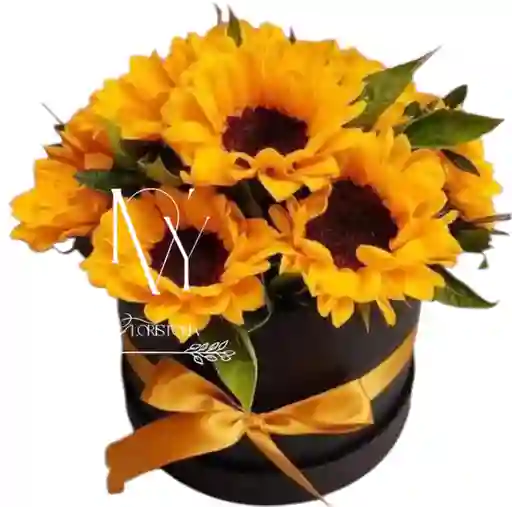 Flores Giráosles En Cilindro