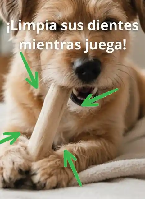 Palo Madera Café Perro Juguete Anti Estrés Limpieza Dental - S