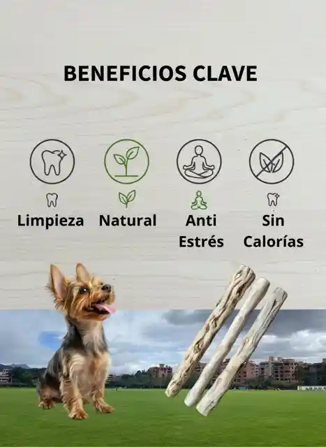 Palo Madera Café Perro Juguete Anti Estrés Limpieza Dental - S