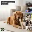 Palo Masticable Madera Café Perro Resistente Antisarro L