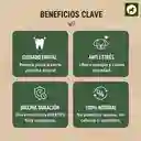 Palo Masticable Madera Café Perro Resistente Antisarro L