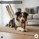 Palo Masticable Madera Café Perro Dental Antisarro Talla - M