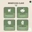 Palo Masticable Madera Café Perro Dental Antisarro Talla - M