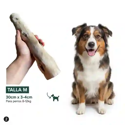Palo Masticable Madera Café Perro Dental Antisarro Talla - M