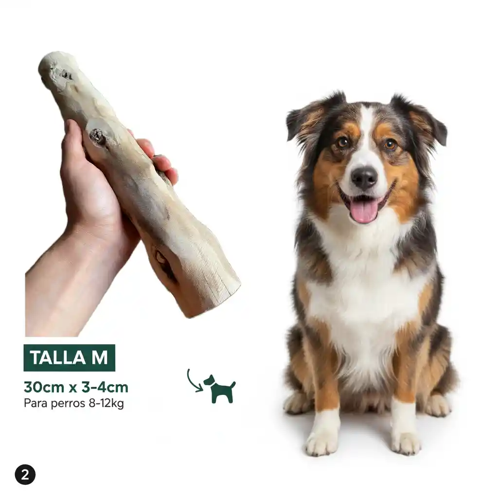 Palo Masticable Madera Café Perro Dental Antisarro Talla - M