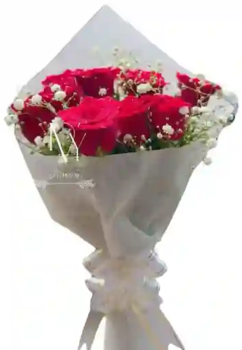 Rosas Rojas X24 Amor Eterno