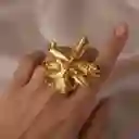 Anillo Orquidea Odontoglossum Flor Sauco