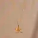 Collar Orquidea Cyrtochilum Revolutum