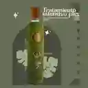 Tratamiento Aguacate Ritual Botanico