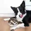 Comedero Anti Ahogo Steelbite