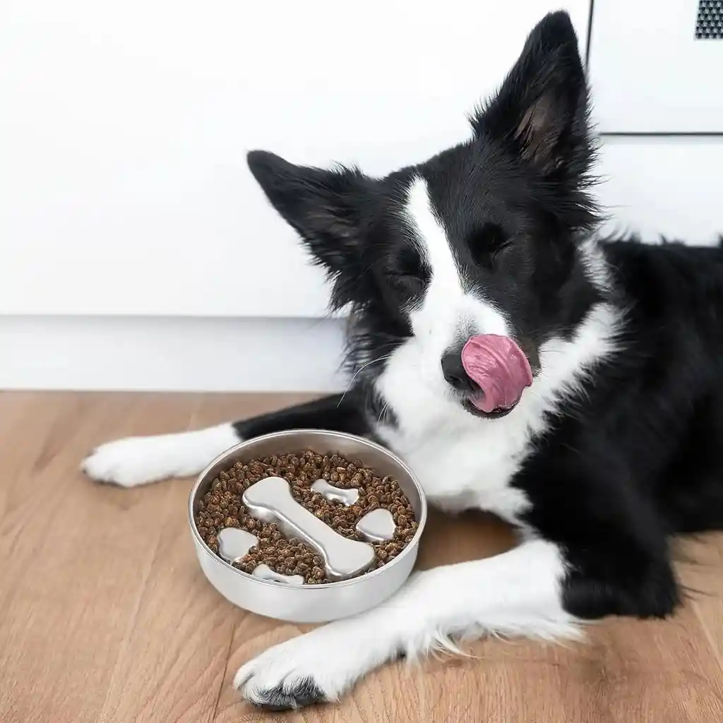 Comedero Anti Ahogo Steelbite