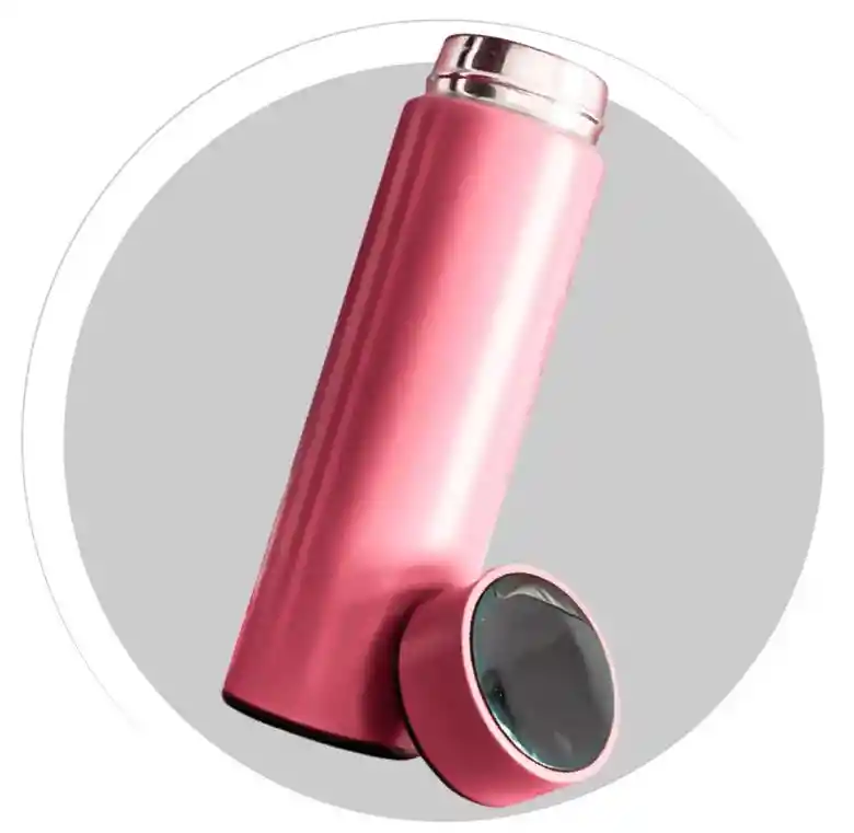 Termo Led 500ml Acero Inoxidable Pantalla Temperatura Digital Rosa Publicitario