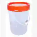 Contenedor Balde Plástico Transparente Tapa Hermética 20lts Transparente/tapa Multicolor