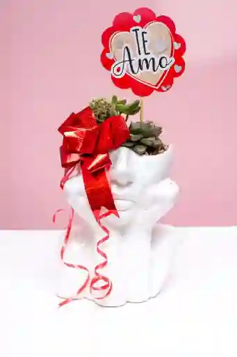 Jardin Suculentas Y Cactus En Matera De Rostro