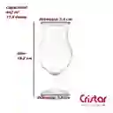 Copa Cervecera Praga Caja X 24 Unidades Cristar