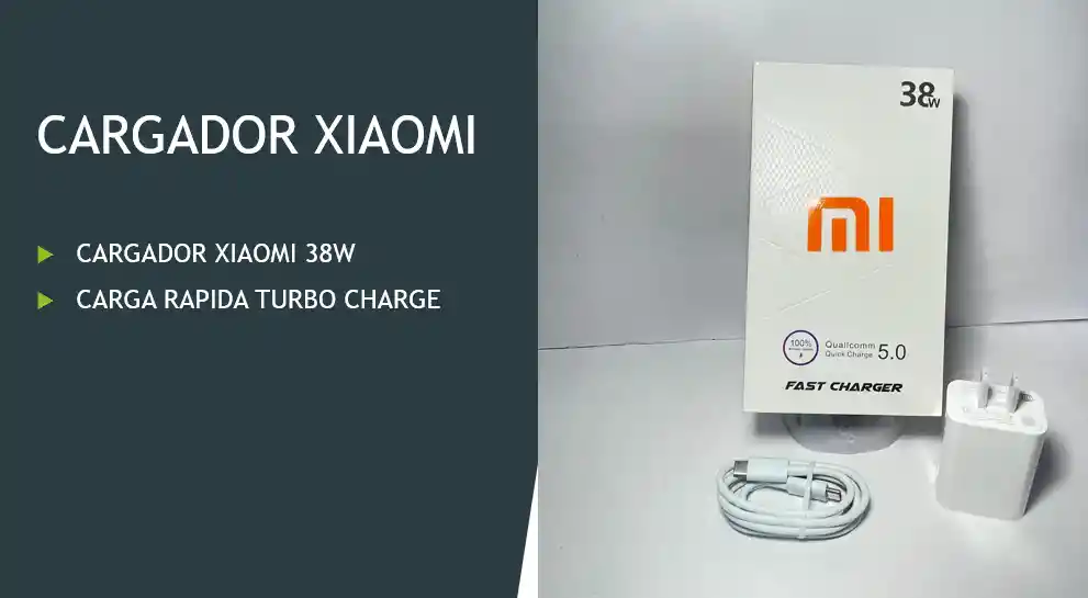 Cargador Xiaomi 38w