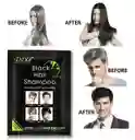Shampoo Tinte Cubre Canas Color Negro